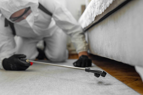 Professional Bed Bug Control technician working in Bottineau County County, ND